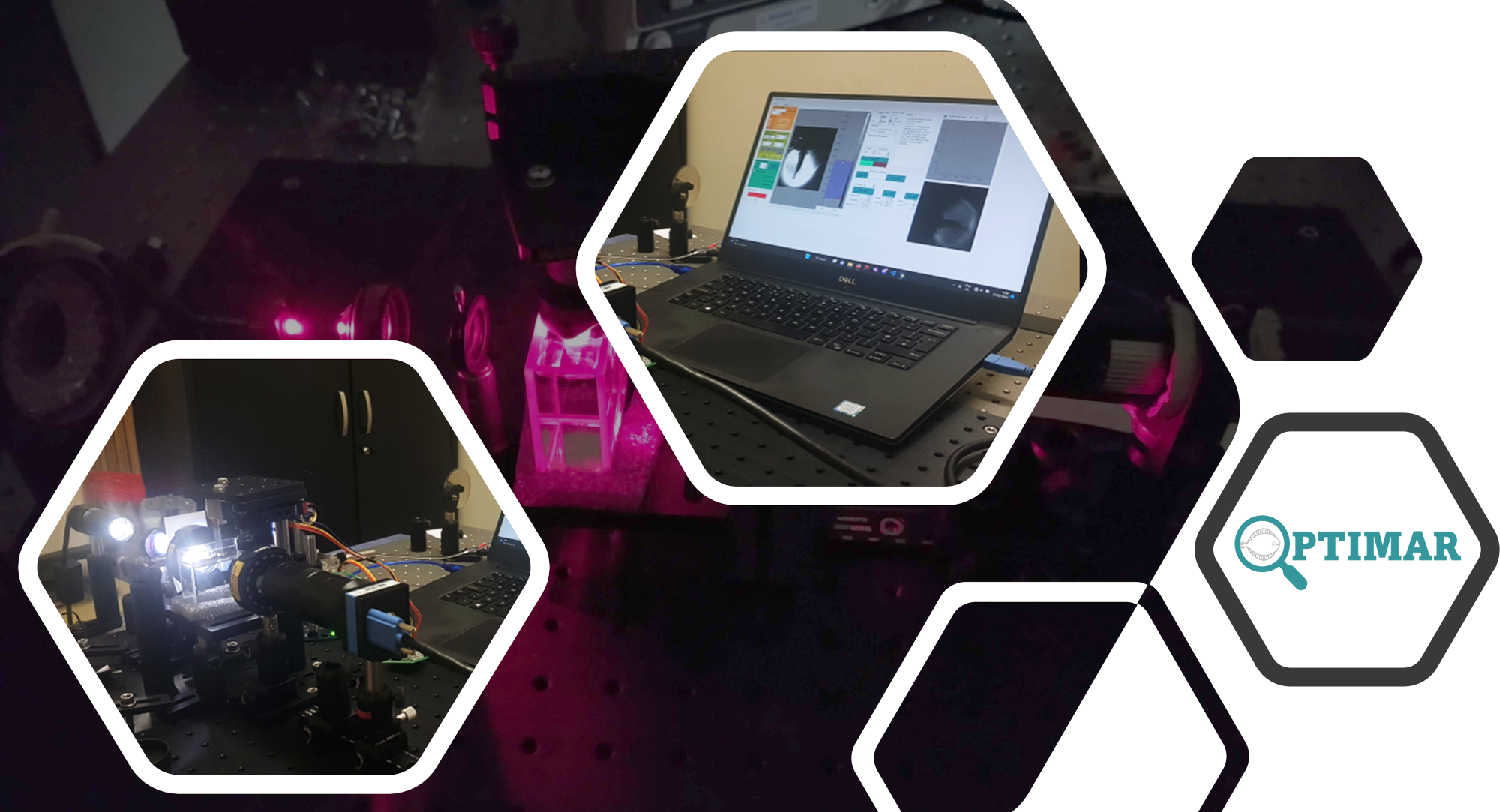 OPTIMAR Mesoscopic Imaging System