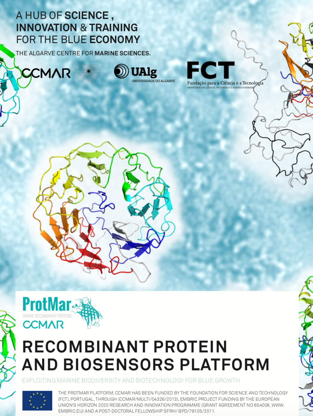 ProtMar-Marine Recombinant and Biosensors platform (CCMAR, EMBRC.PT)