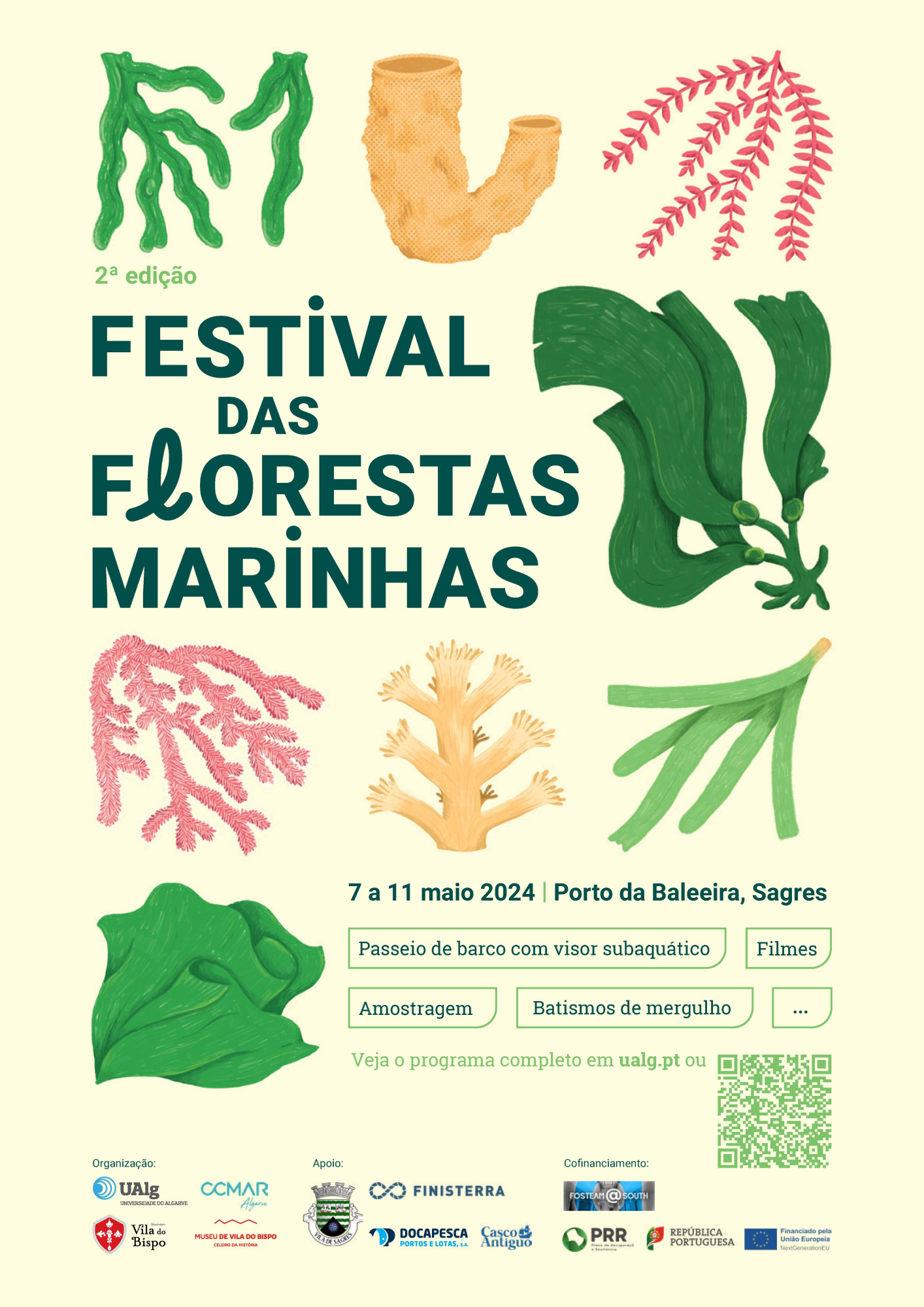 Festival das Florestas Marinhas