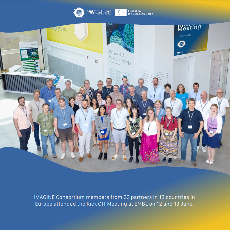 IMAGINE Consortium 