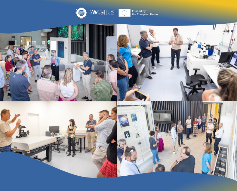 IMAGINE Consortium EMBL Visit