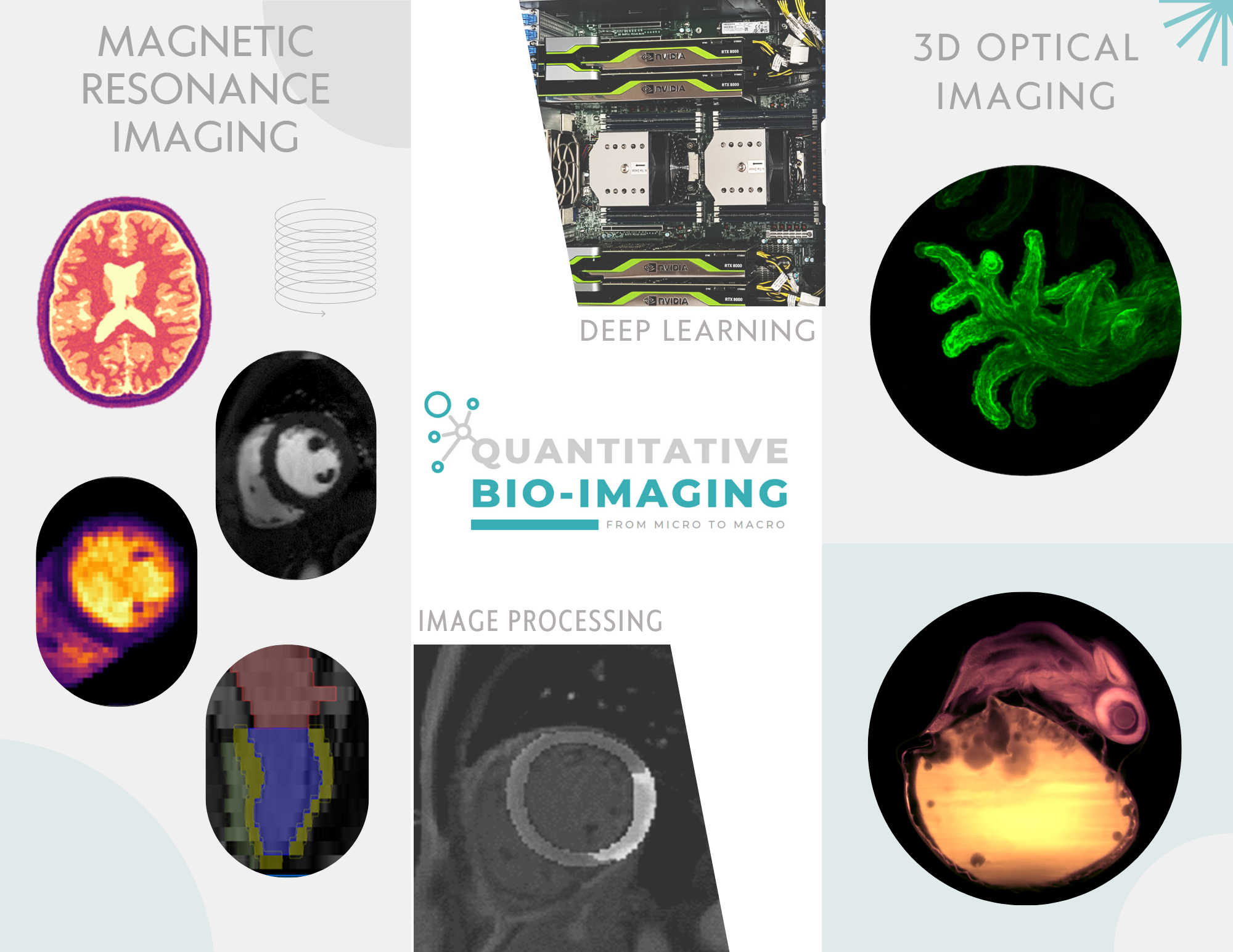 QBI's research areas: optical imaging, tomography, MRI and AI 