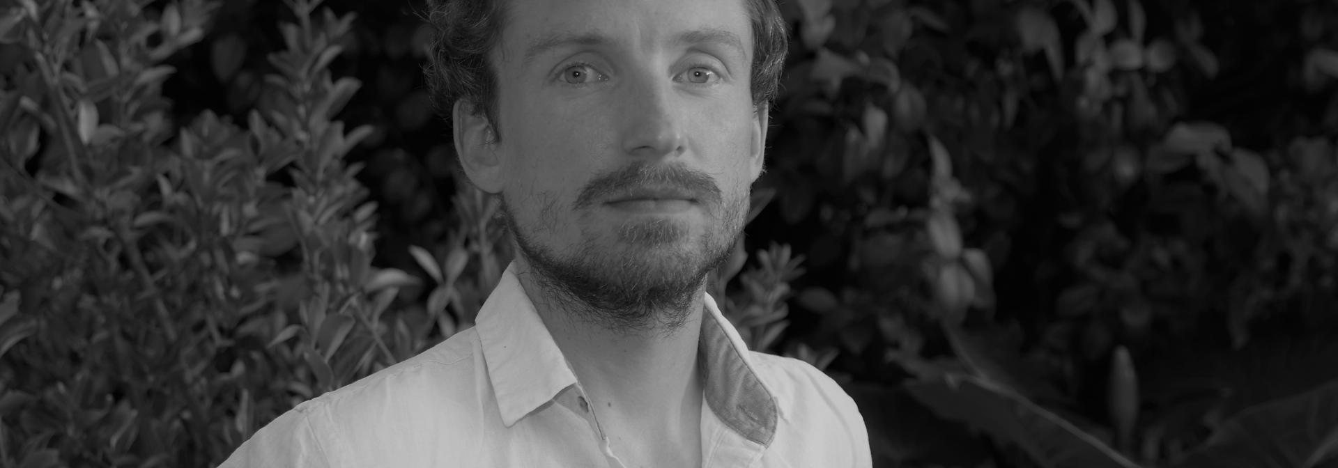 Generic representation of New on Board: David Palecek