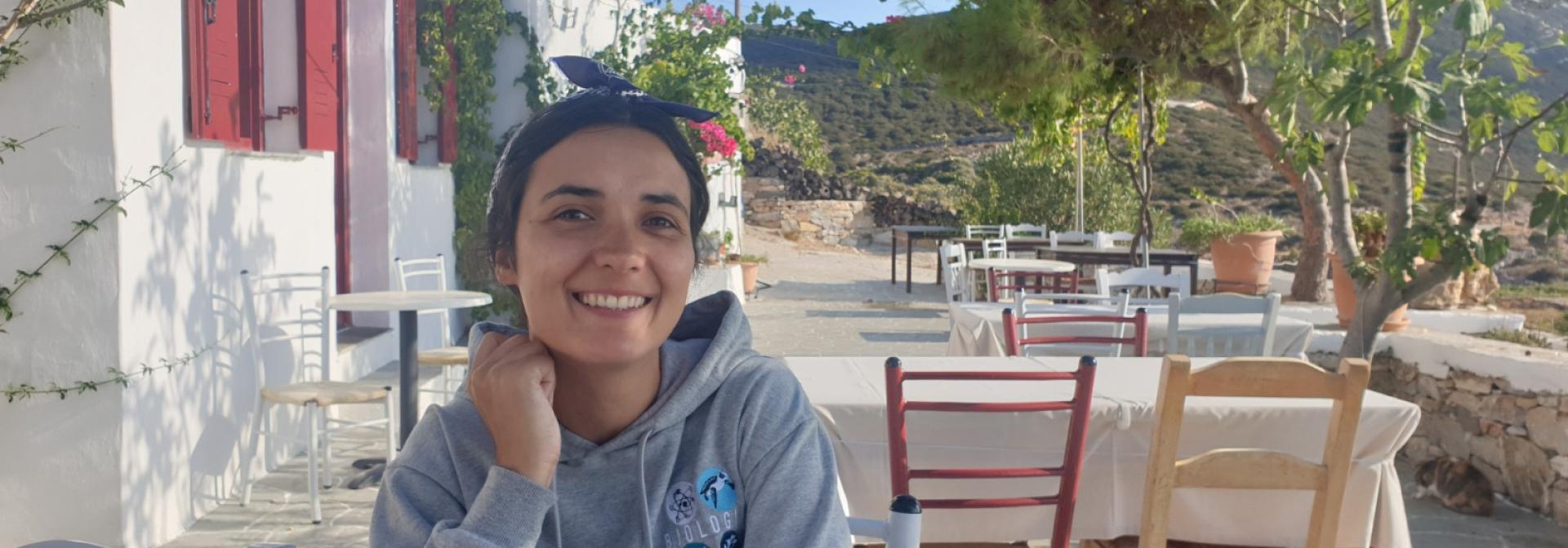 Generic representation of New on Board: Sofia V. Dias