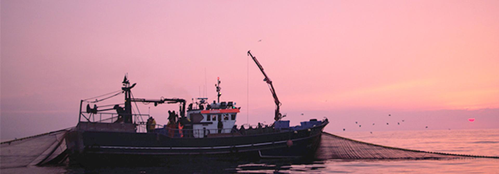 Generic representation of The Paris Agreement will likely benefit North Atlantic fisheries