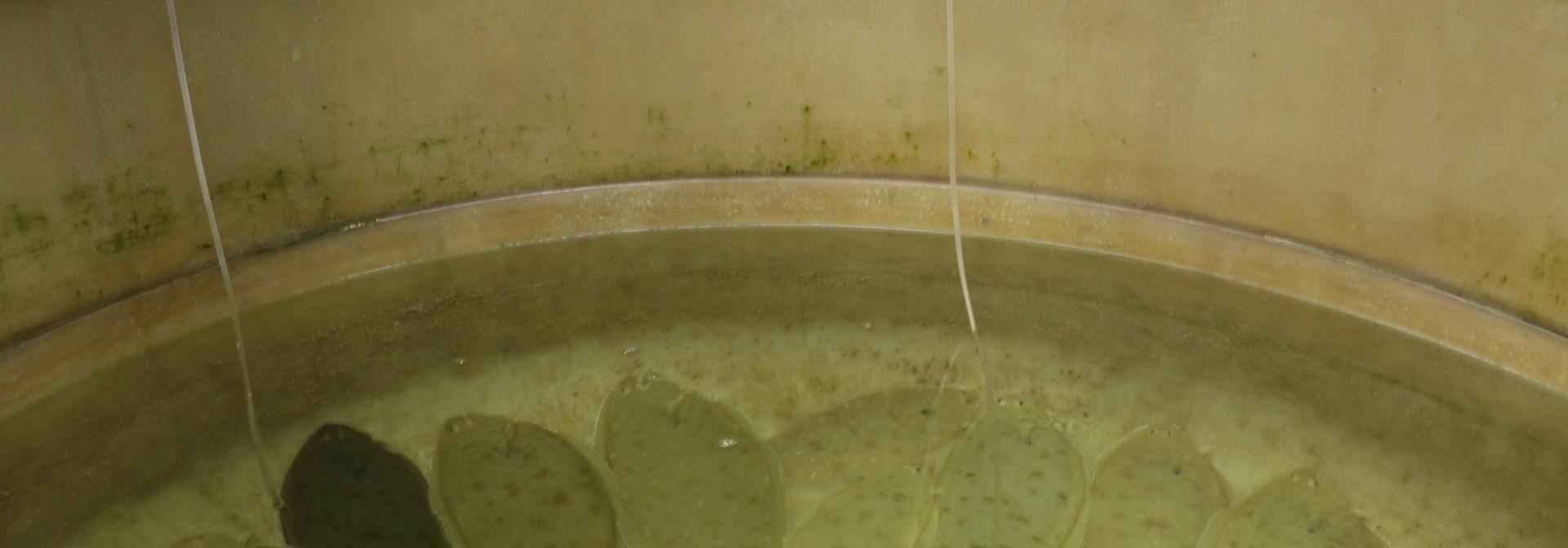 Generic representation of Call open for Access to Aquaexcel2020 facilities