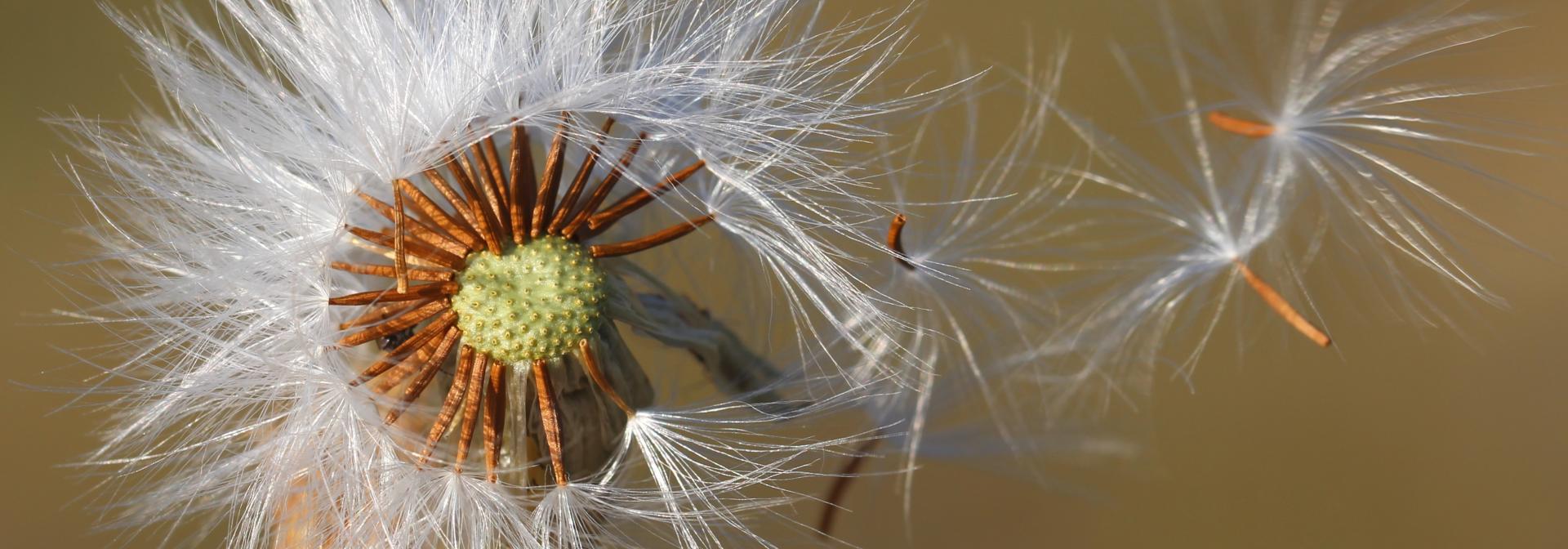 Generic representation of Exposição ‘Aos Olhos do CCMAR’ inaugura no Mar Shopping Algarve