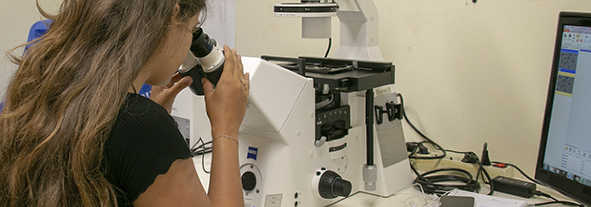 Generic representation of Get a PhD fellowship to come to CCMAR