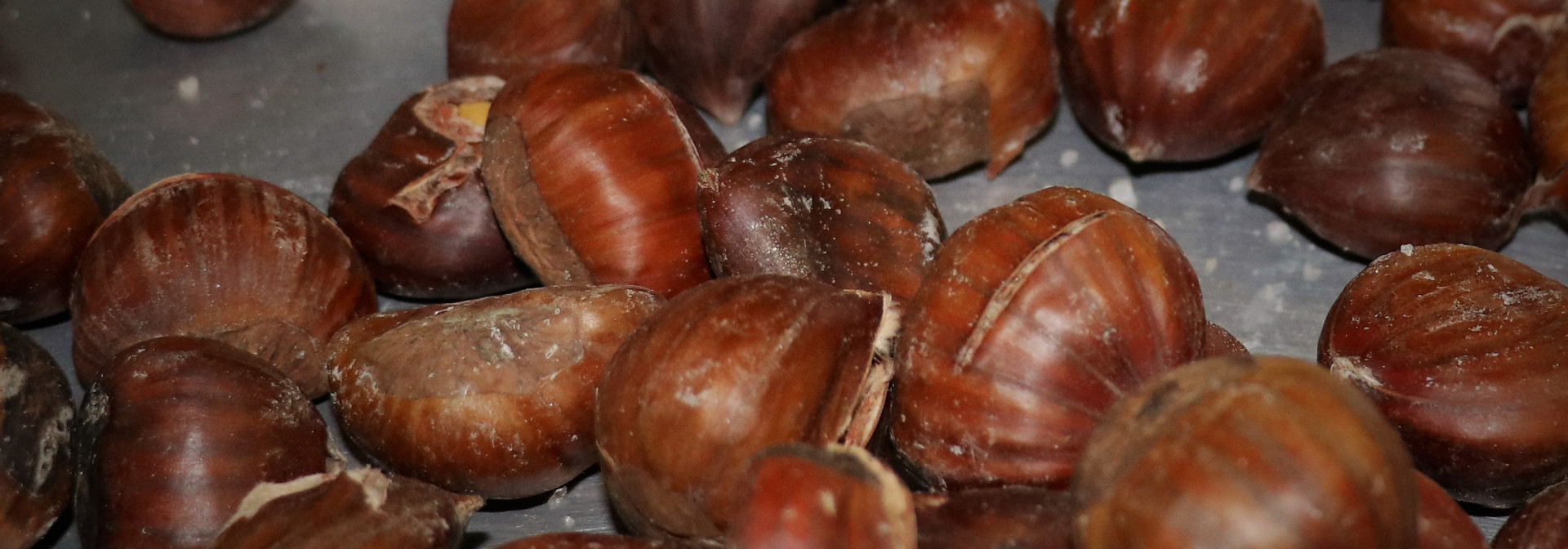 Generic representation of Time-off: celebrating Magusto at CCMAR