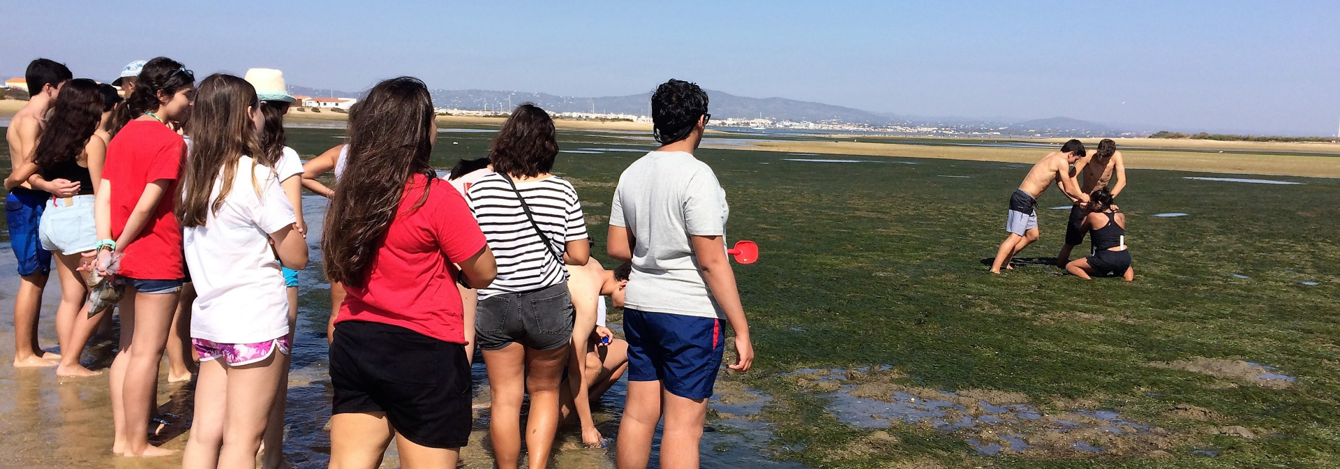 Generic representation of Projeto REASE desenvolveu atividades com alunos do 10º ano da Escola Secundária João de Deus, na Culatra.