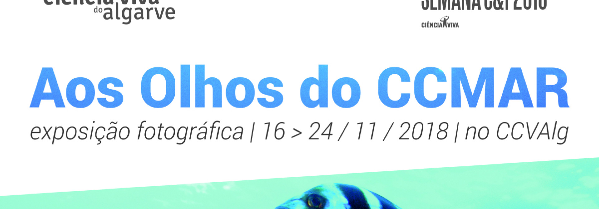 Generic representation of Centro de Ciência Viva do Algarve hosts CCMAR photo exhibit