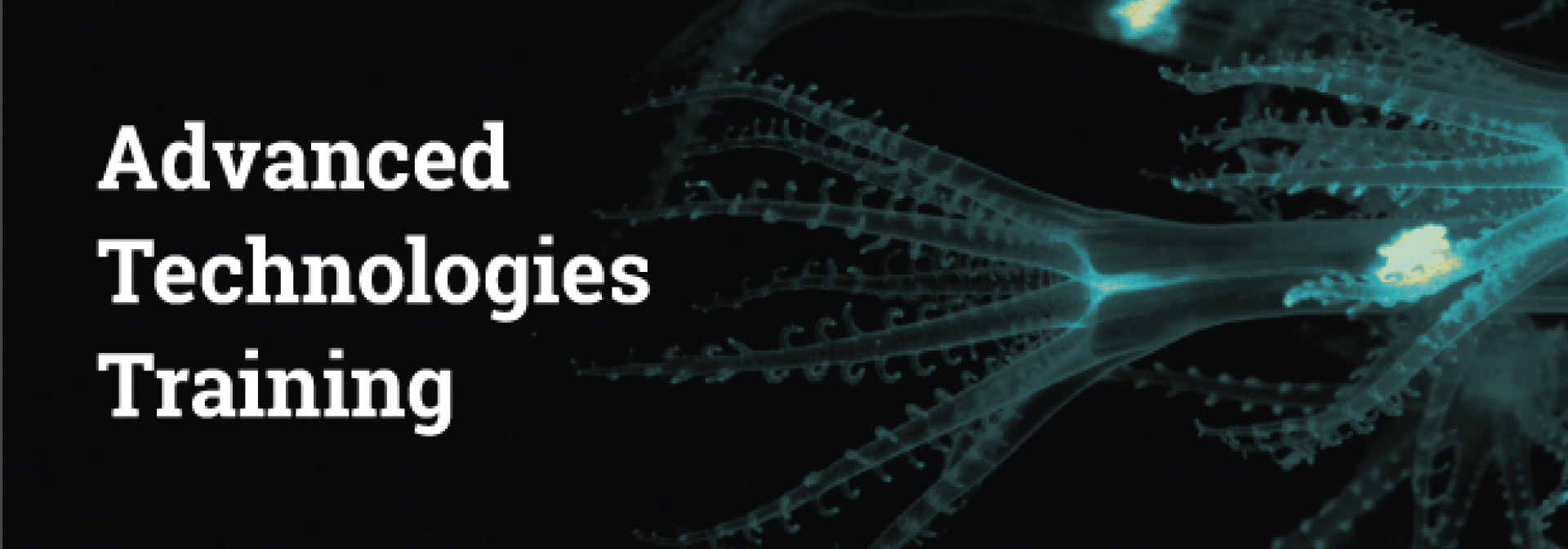 Generic representation of Biosensors meet Blue Biotechnology: screening for novel bioactive marine compounds.