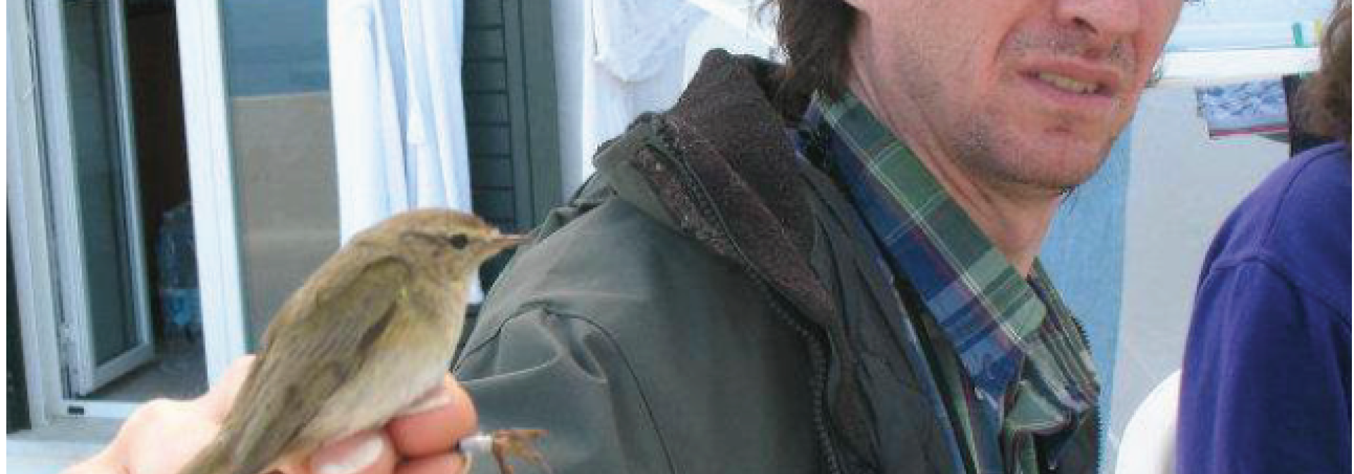 Generic representation of Seminar - Animal personality: how and why individuals matter