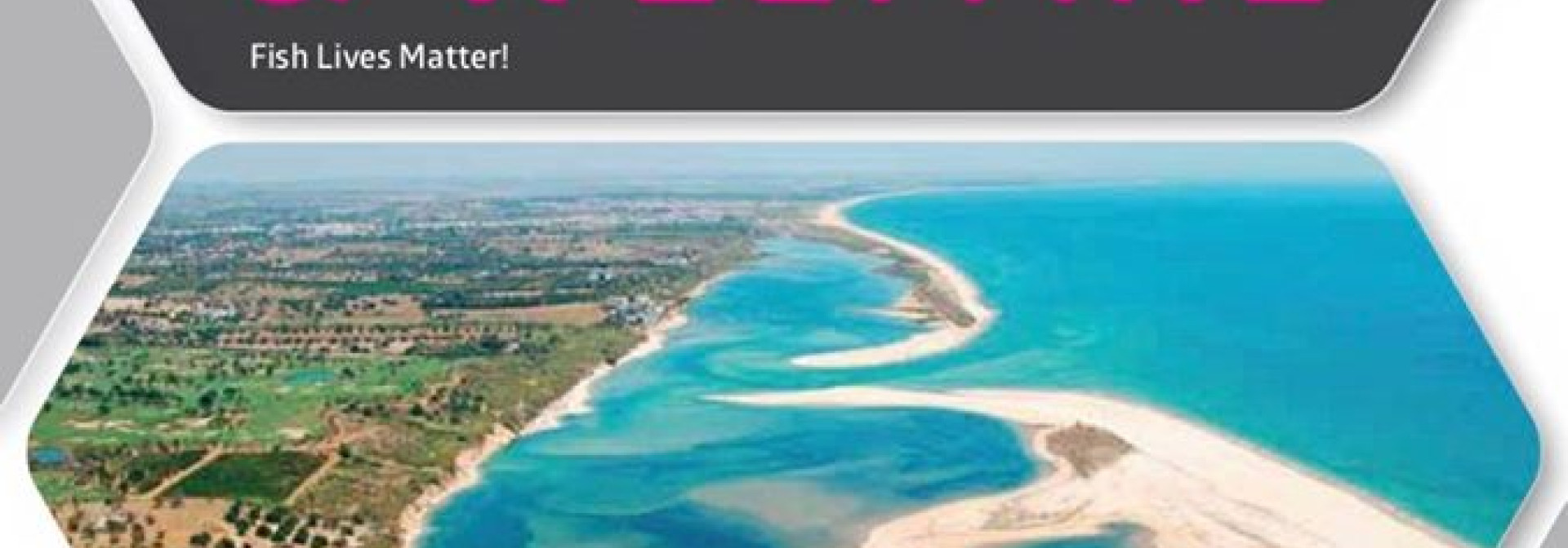 Generic representation of 3RD EDITION OF SUMMER SHOAL 2019 ON FISH ETHOLOGY &amp; WELFARE