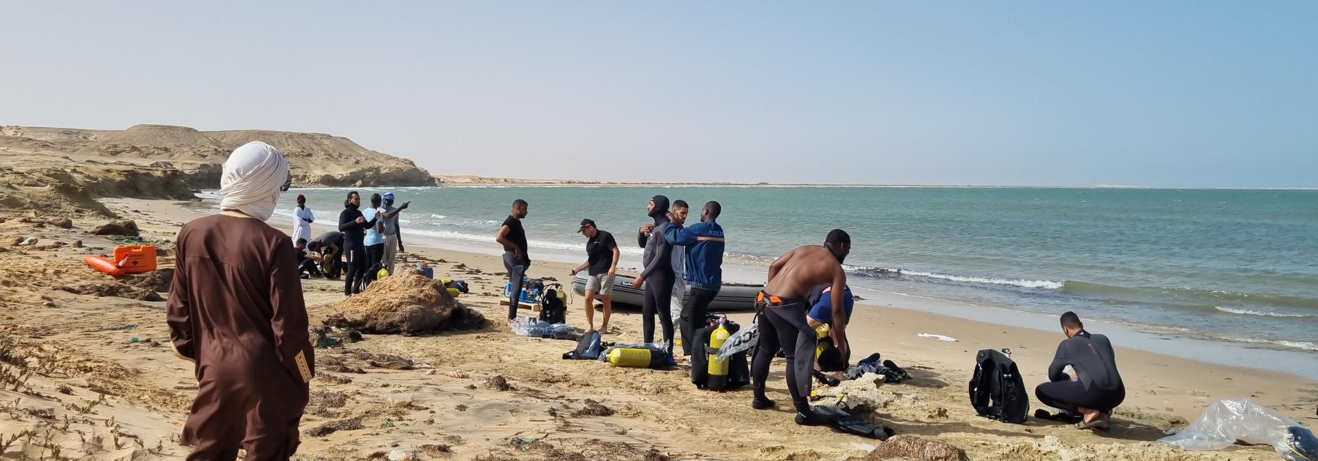 Generic representation of MARAFRICA