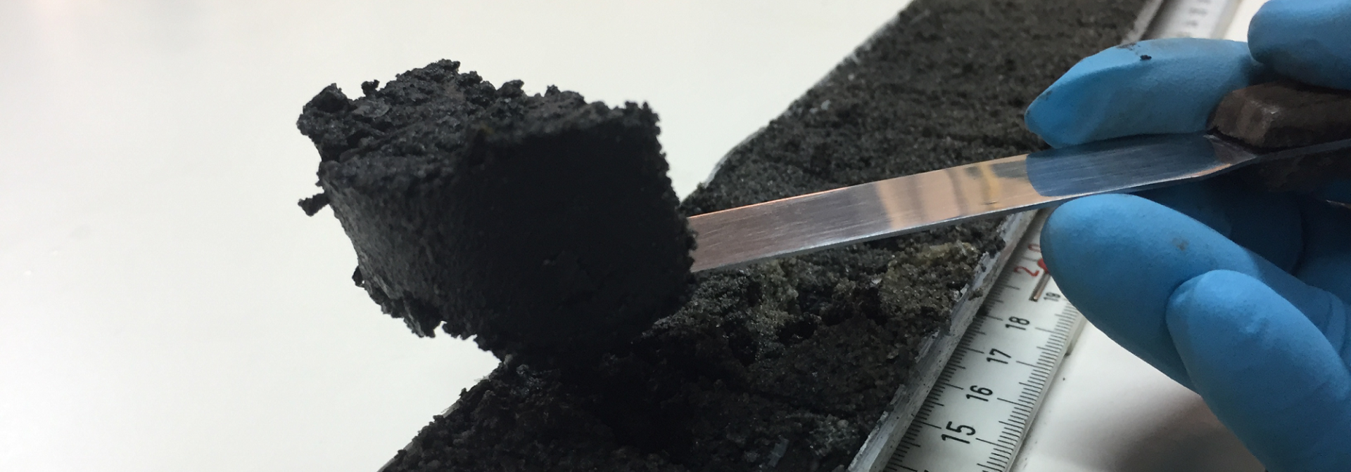 Generic representation of Applications for the Summer School “Emerging topics in coastal marine ecosystems” are open!