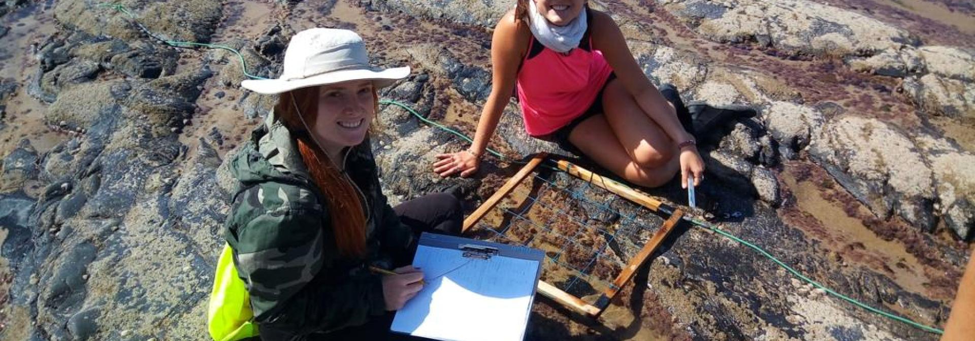 Generic representation of O que motiva os cidadãos a utilizar aplicações móveis em projetos de Ciência Cidadã ambiental?