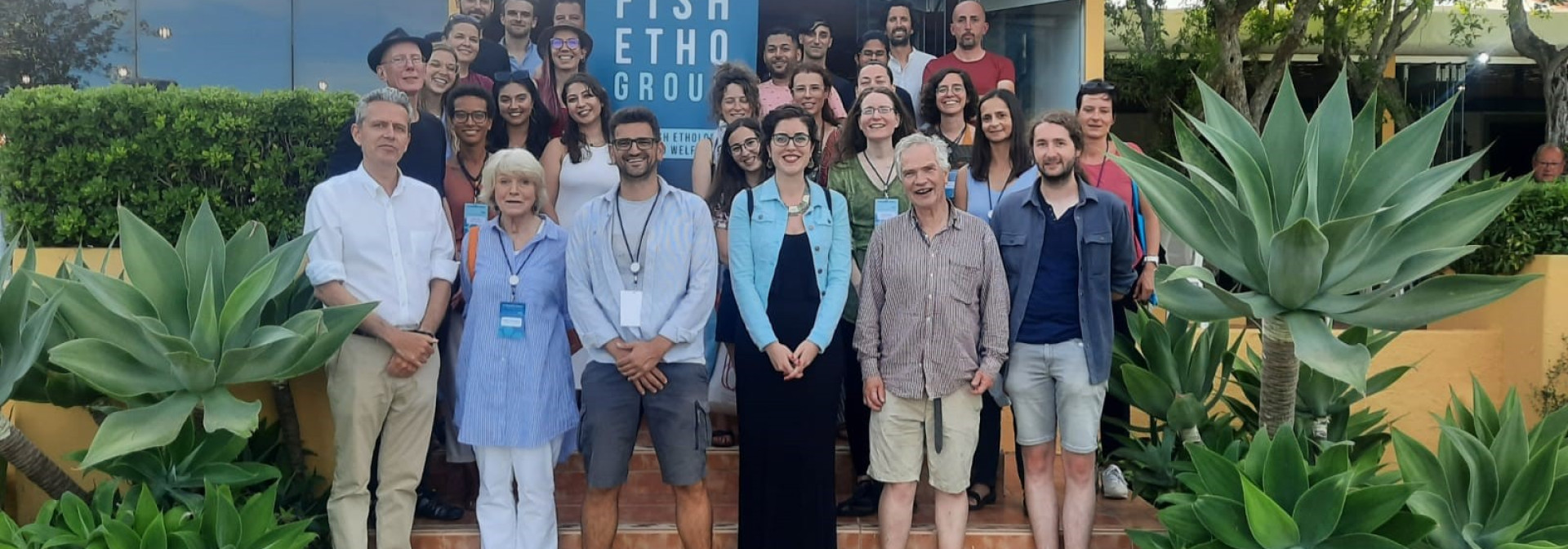 Generic representation of IV Summer Shoal – um retiro científico para repensar o presente e desenhar o futuro do bem-estar dos peixes