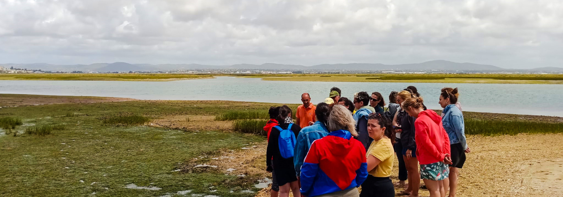 Generic representation of Primary school teachers learned more about seagrass meadows and seahorses