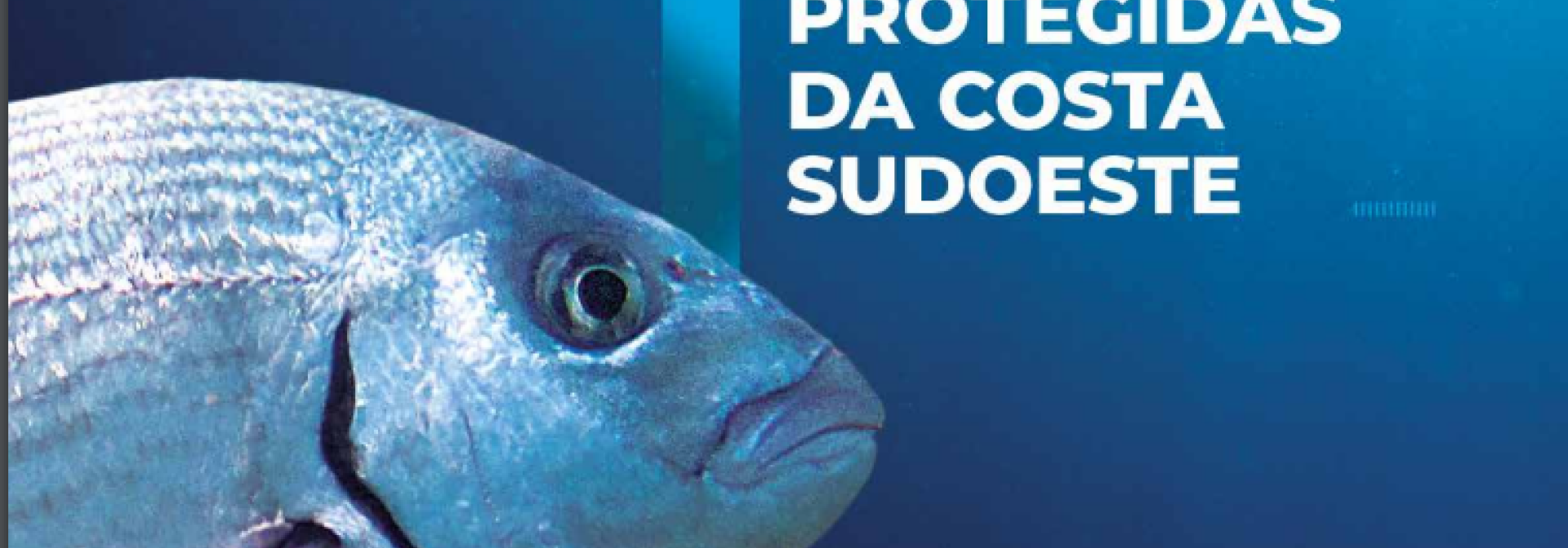 Generic representation of Exhibition and book portrays the Marine Protected Areas of the Algarve's Southwest Coast