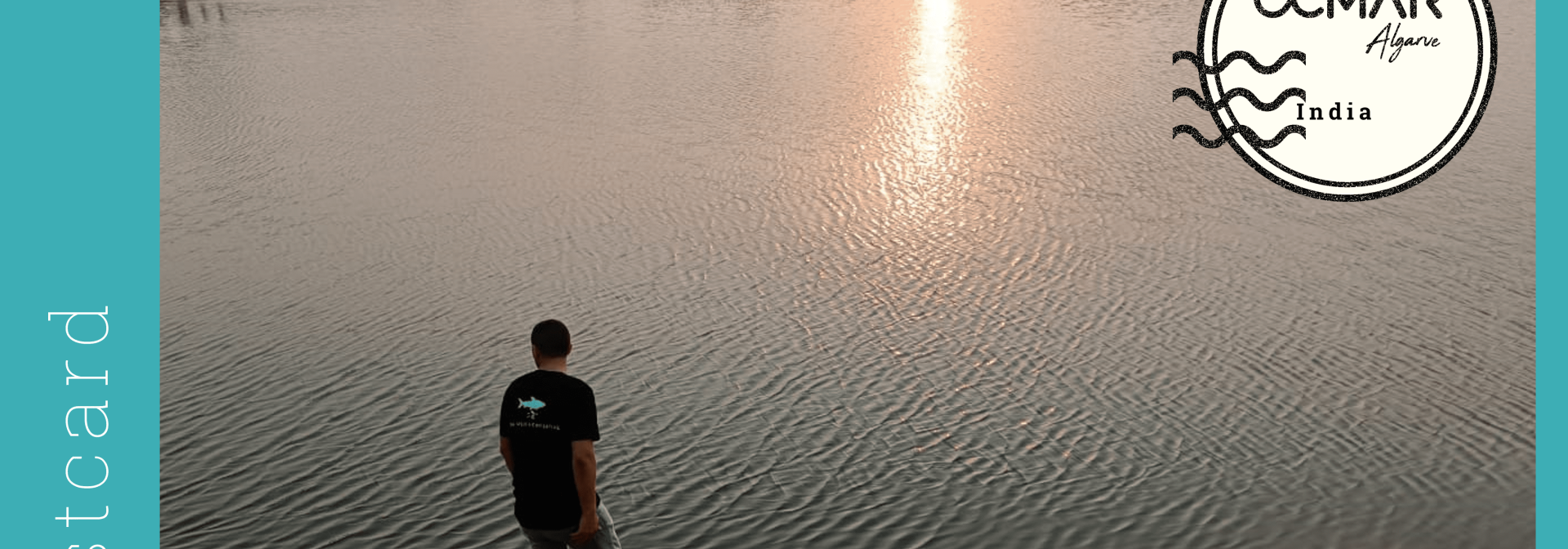 Generic representation of Animal Welfare in focus on a trip to India