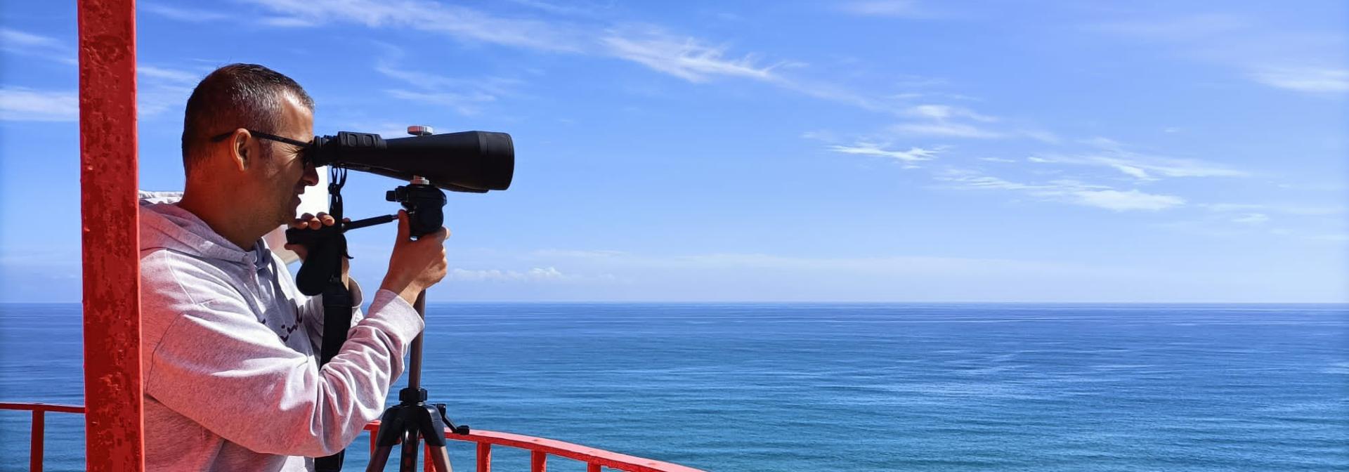 Generic representation of Quantos são e por onde andam os cetáceos no Algarve? Há mais no Inverno ou no Verão?