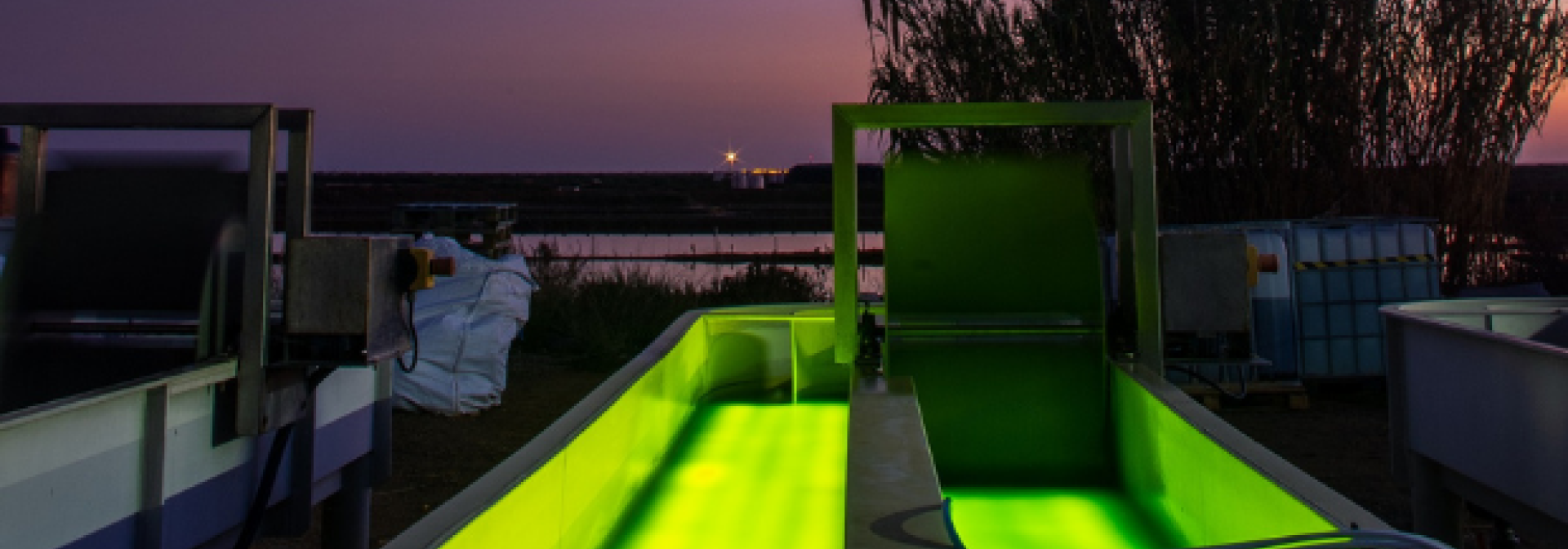Generic representation of What are the benefits of LED lighting in microalgae cultivation?