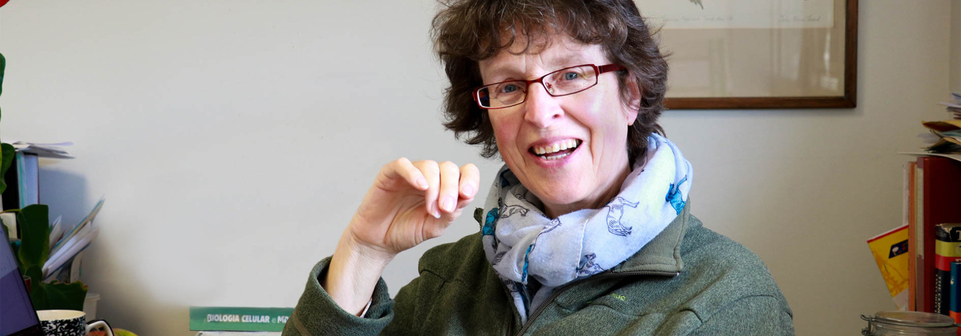 Generic representation of Deborah Power elected member of the Royal Academy of Science and Arts of Barcelona