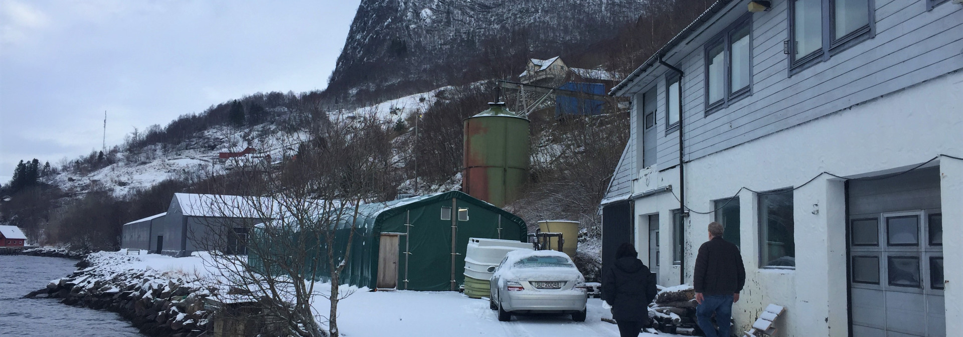 Generic representation of We travelled to Norway to see halibut and fjords! 