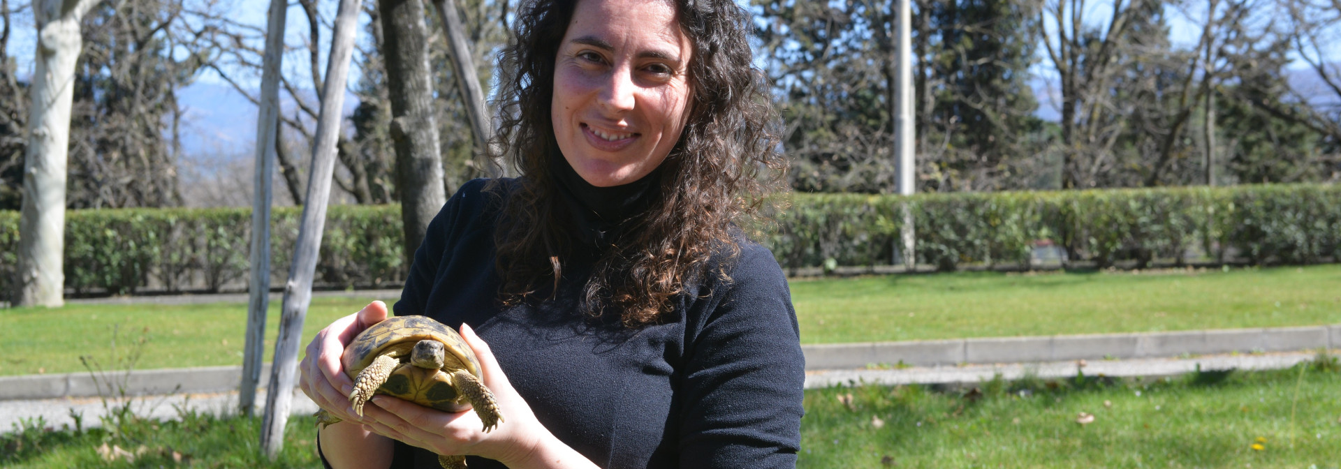 Generic representation of New on Board: Olga Azevedo