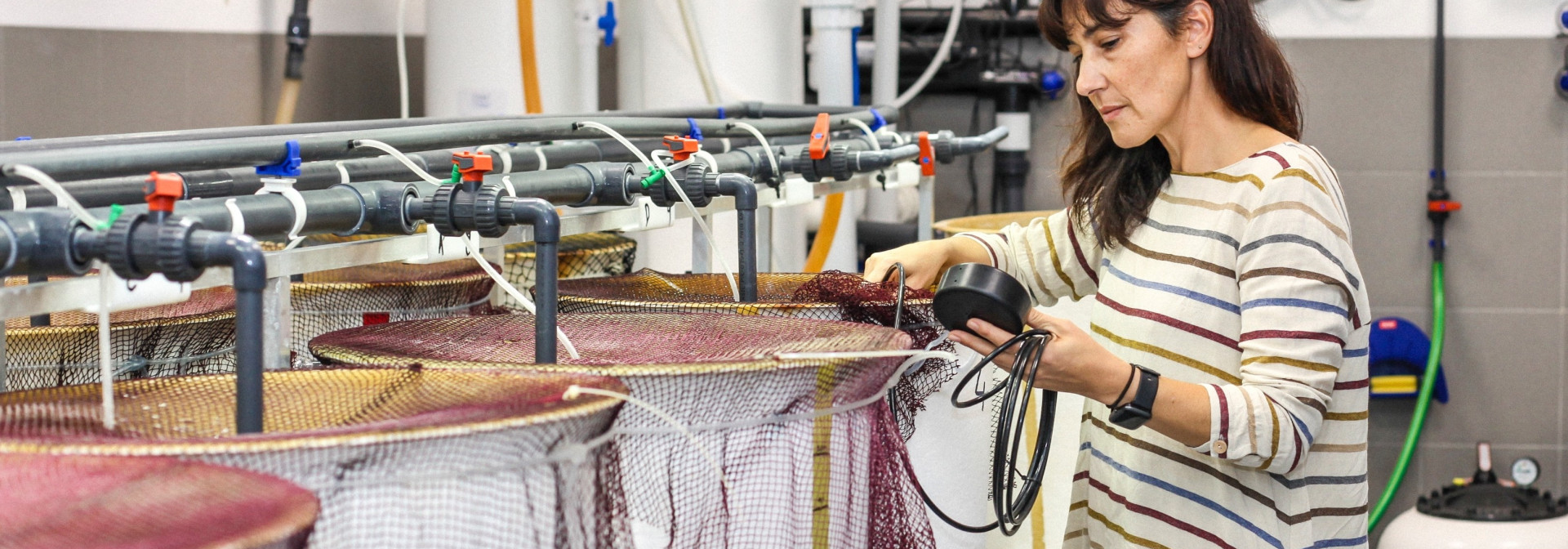 Generic representation of Study shows how specific amino acids affect the growth of farmed fish
