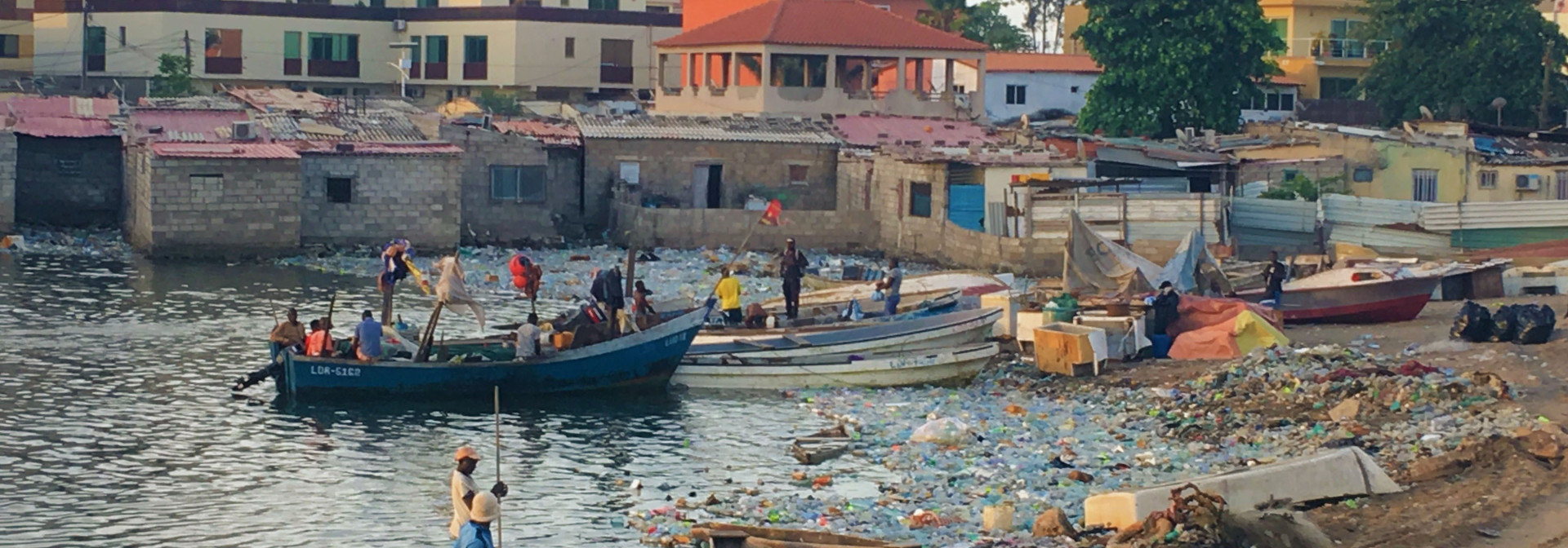 Generic representation of Scientists alert on the impacts of waste