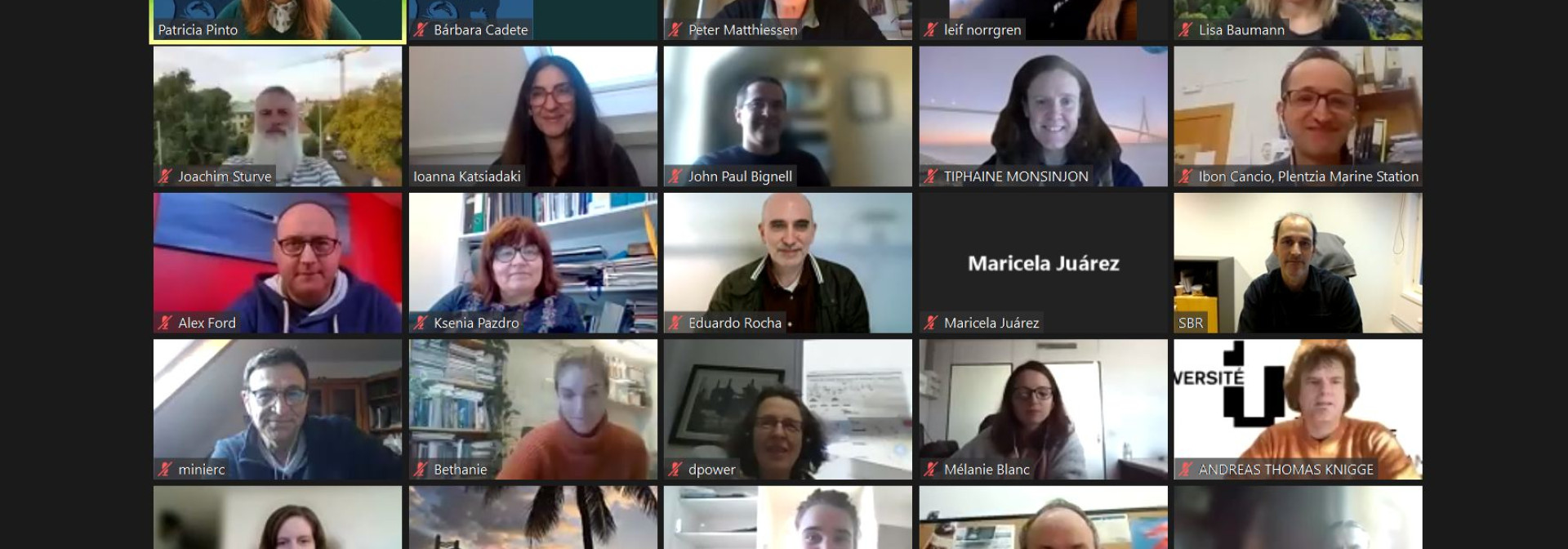 Generic representation of International workshop on the effects of pollutants on the endocrine system of marine animals gathered experts from around the world 