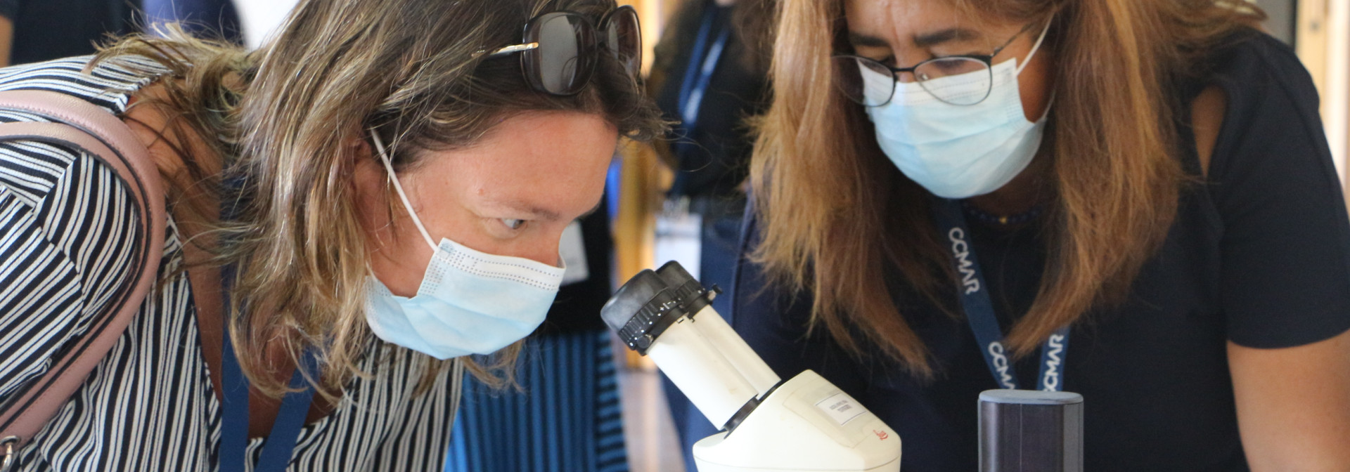 Generic representation of Workshop "Octopus Fishing and Life Cycle" presents ParticiPESCA project