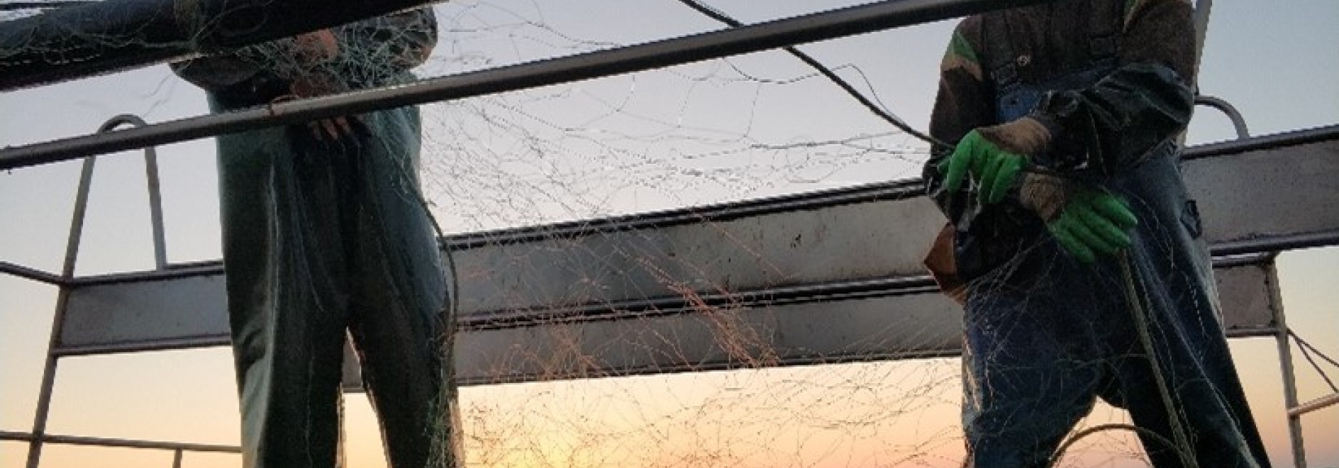 Generic representation of CetAMBIcion project starts the meetings with the fishing sector