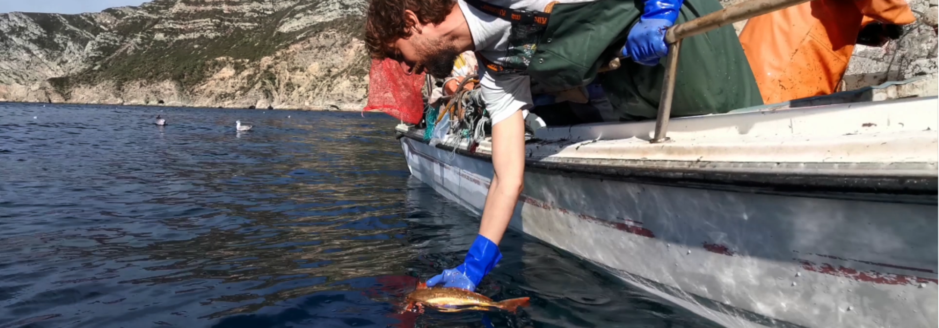 Generic representation of Joint Research Centre of the European Commission highlights CCMAR projects