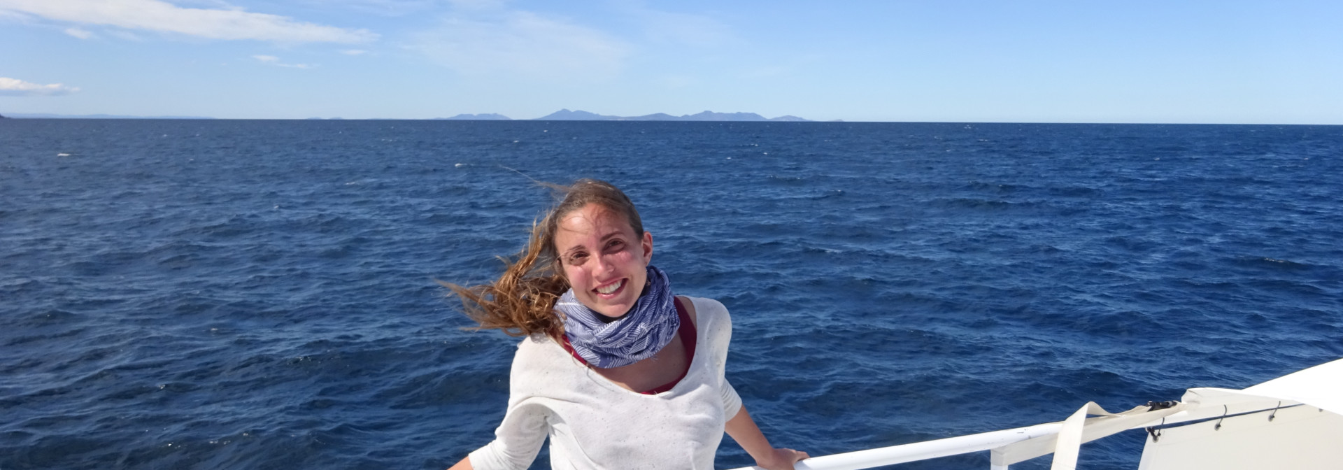 Generic representation of New on Board: Marta Albo