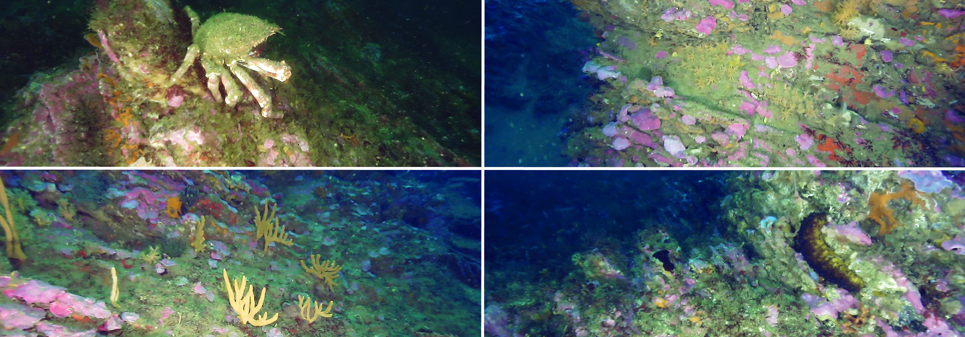 Generic representation of Researchers return the fieldwork in the Parque Natural Alentejano e Costa Vicentina