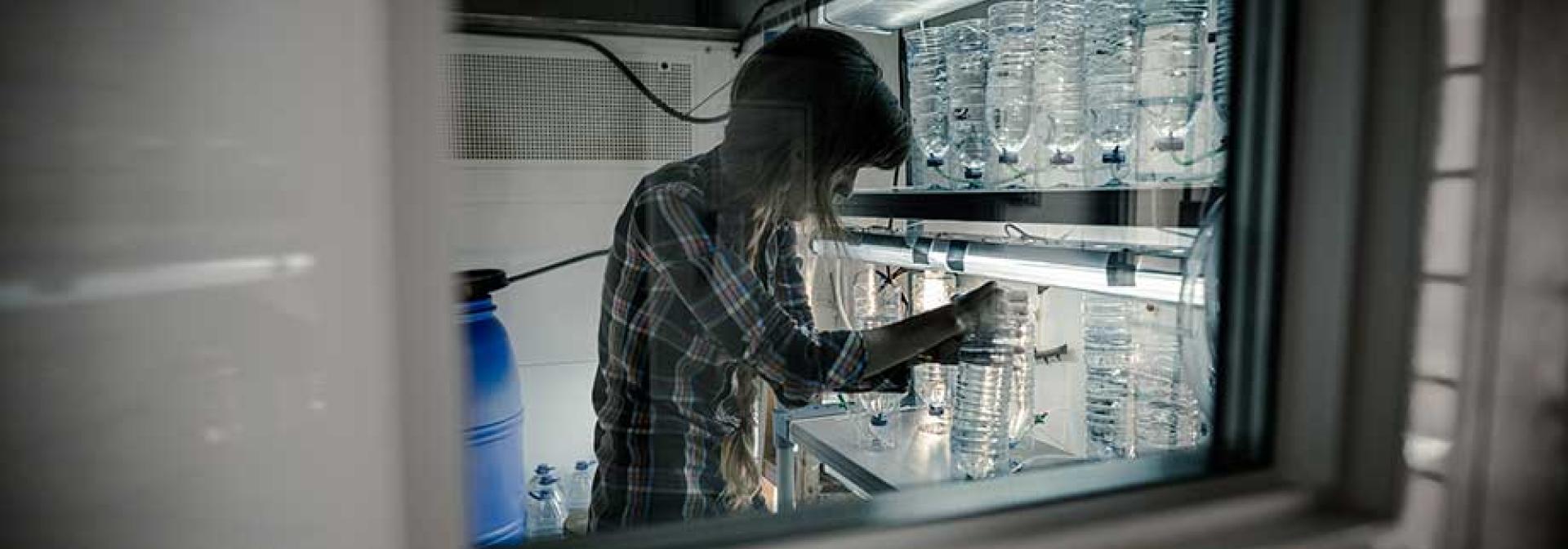 National Geographic Portugal: Pepe Brix