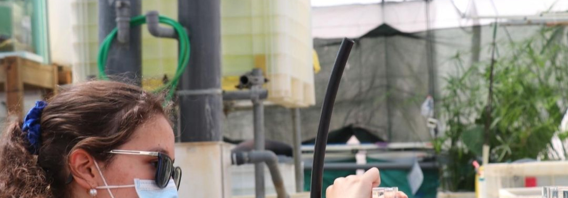 Generic representation of Estágios de Verão atraem jovens para a ciência