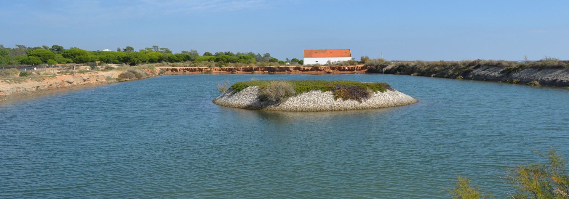 Generic representation of Seagrass meadows improve inflowing water quality in aquaculture ponds