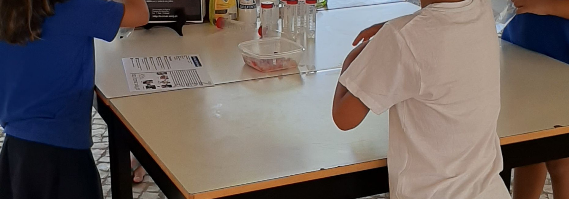 Generic representation of CCMAR retoma visitas de alunos