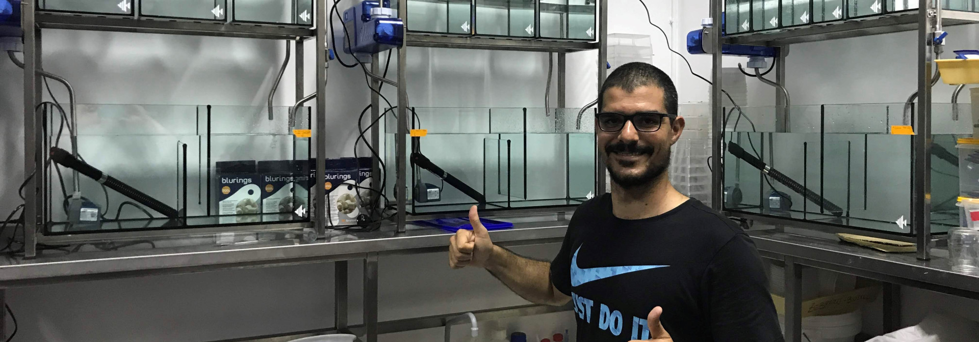 Generic representation of Researchers develop a new housing system to study the effect of microplastics on fish