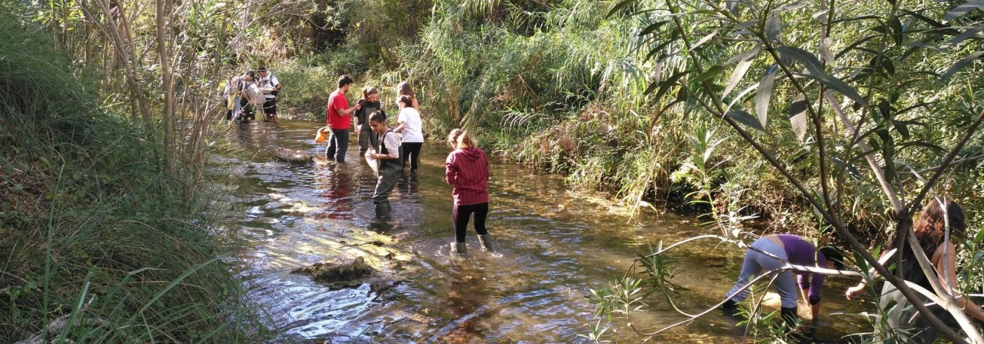 Generic representation of Scientific study involves volunteer citizens in measuring aquatic invertebrates