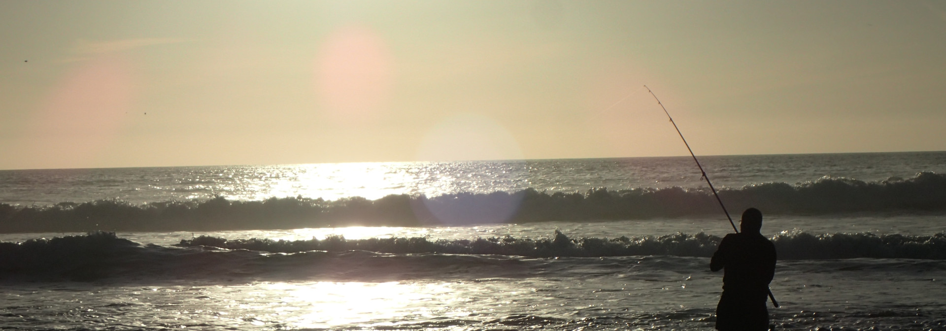 Generic representation of PESCARDATA2: Projeto vai continuar a estudar a pesca lúdica em Portugal