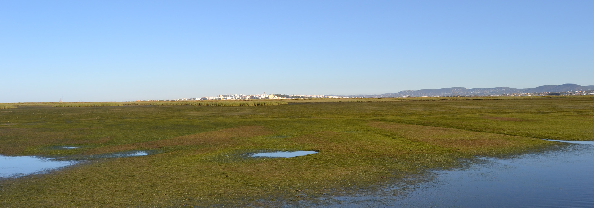 Generic representation of  CCMAR is one of the partners of LIFE Ilhas-Barreira