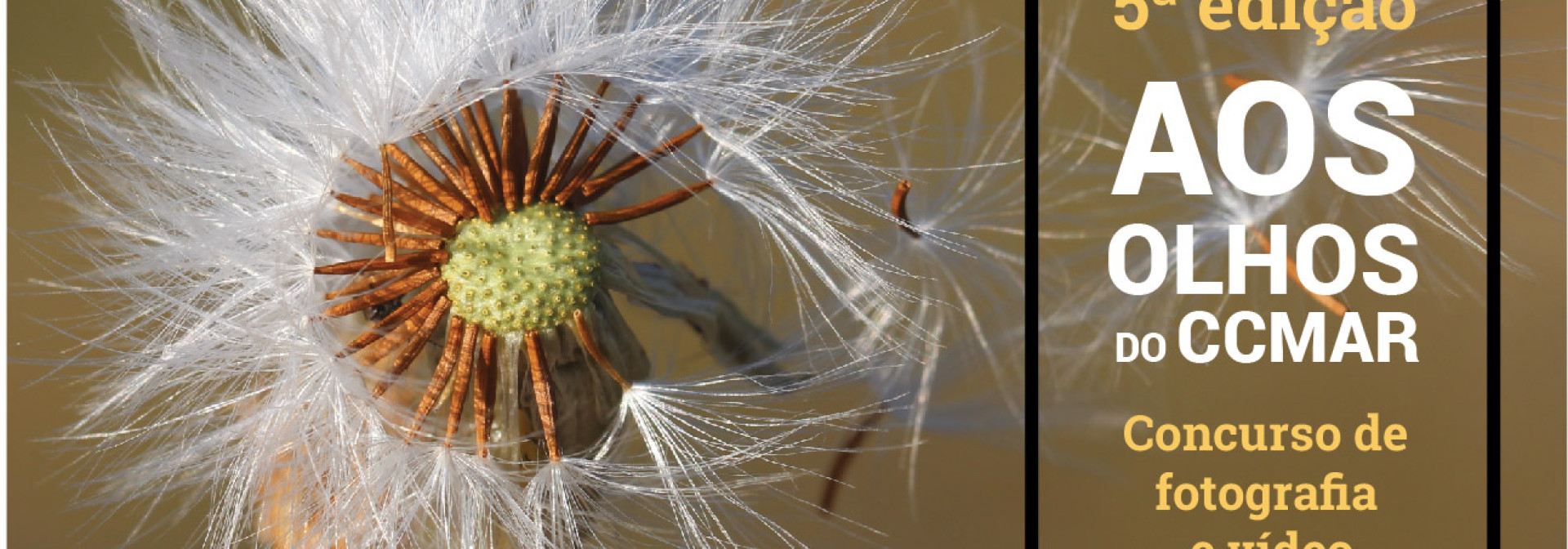 Generic representation of Aos Olhos do CCMAR (5th edition)