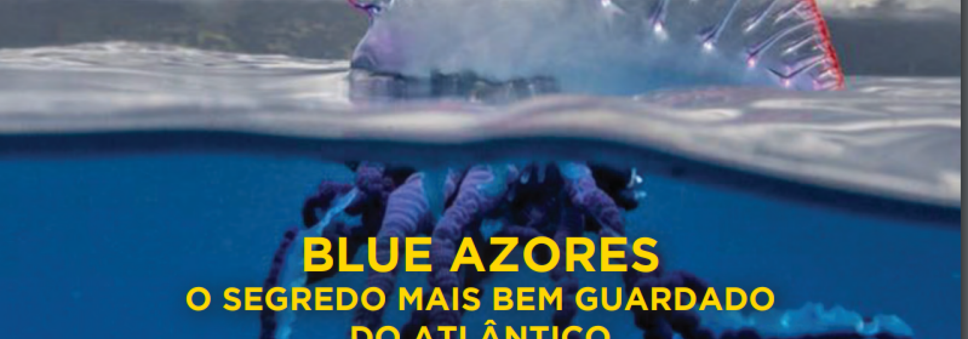 Generic representation of CCMAR researcher participates in the Blue Azores Expedition documentary
