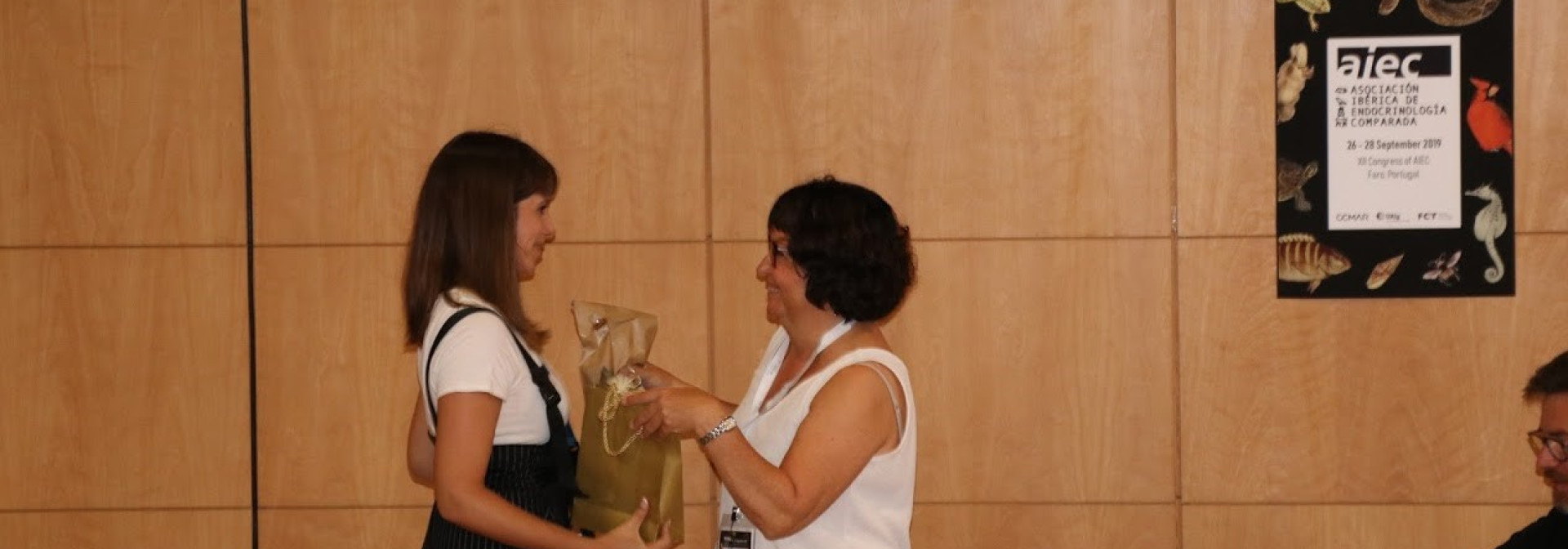 Generic representation of Cármen Sousa won the prize for best poster at AIEC