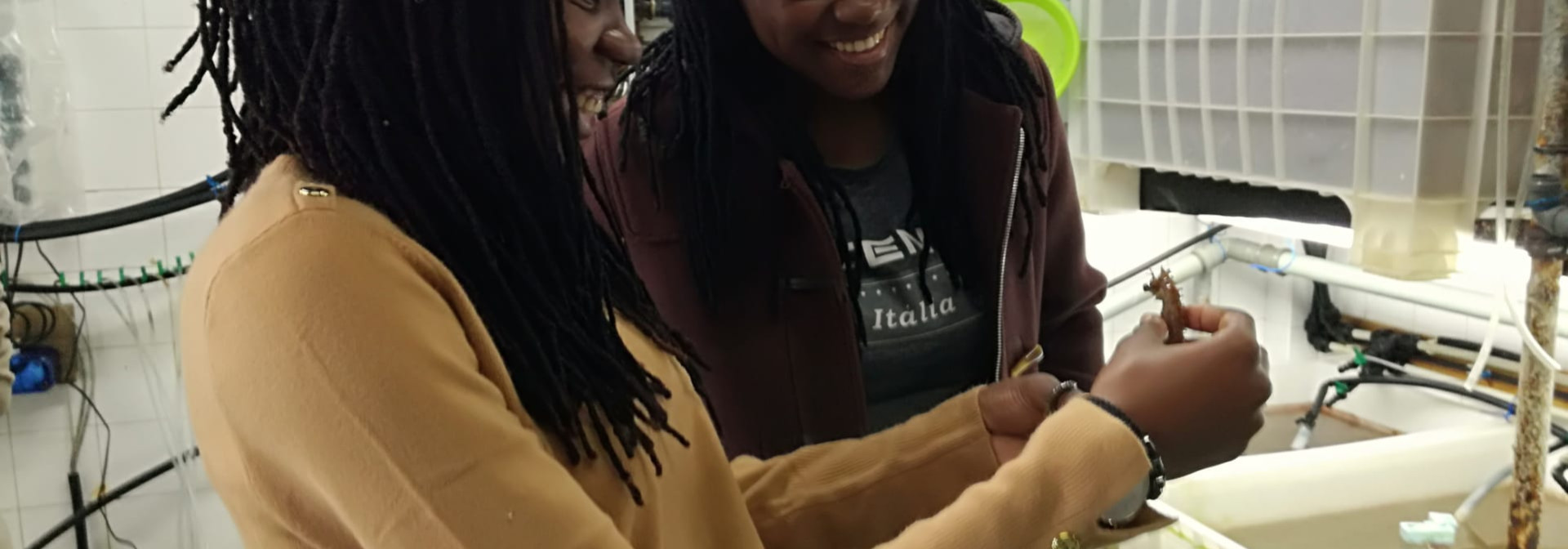 Generic representation of Girl Power: inspire two young researchers